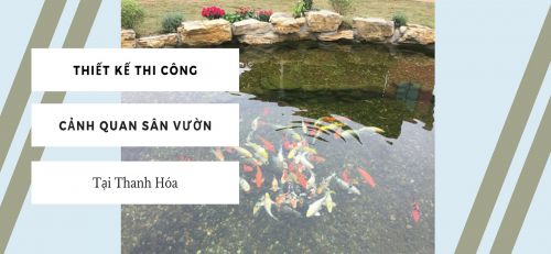 Quy Hoạch Công Trình Tổng Quan Sân Vườn Tại Thanh Hóa